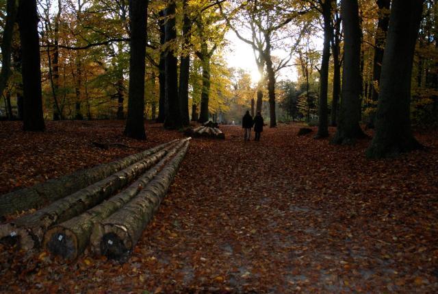 De Patrijs Villa Oudemirdum ภายนอก รูปภาพ