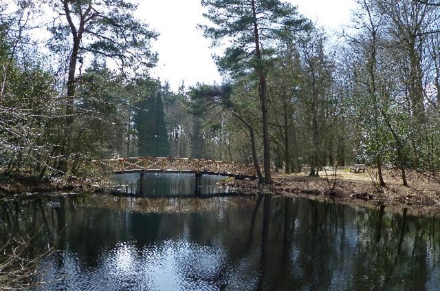 De Patrijs Villa Oudemirdum ภายนอก รูปภาพ
