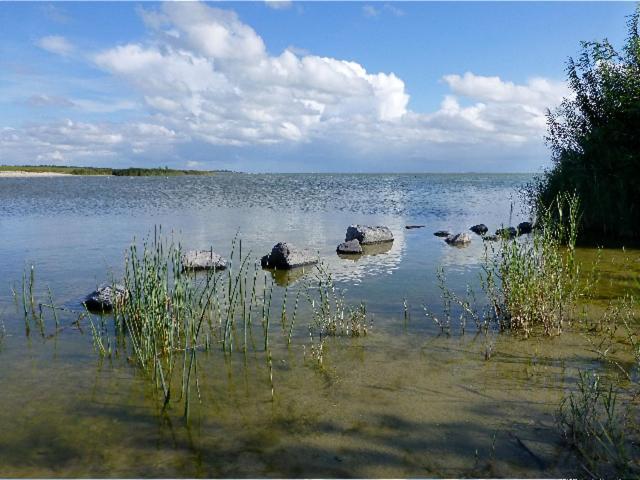 De Patrijs Villa Oudemirdum ภายนอก รูปภาพ