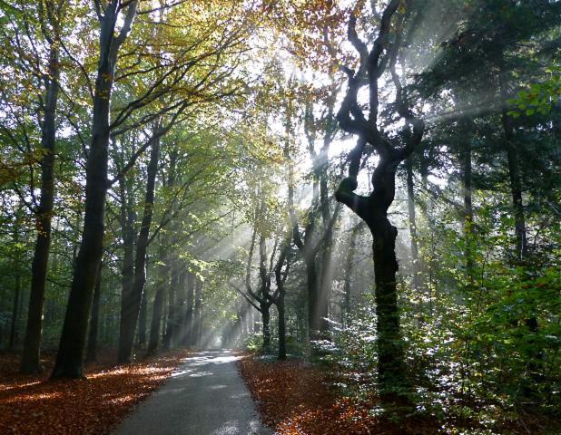De Patrijs Villa Oudemirdum ภายนอก รูปภาพ