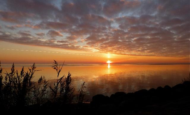 De Patrijs Villa Oudemirdum ภายนอก รูปภาพ